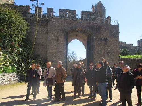 castelo de tomar (3)